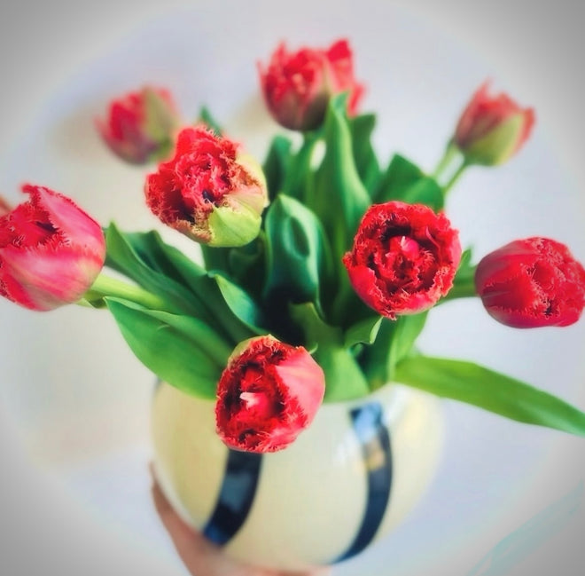 Vases