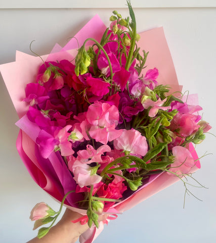 Close-up of fragrant sweet pea blooms in shades of bright pink and blush, tied in a bouquet