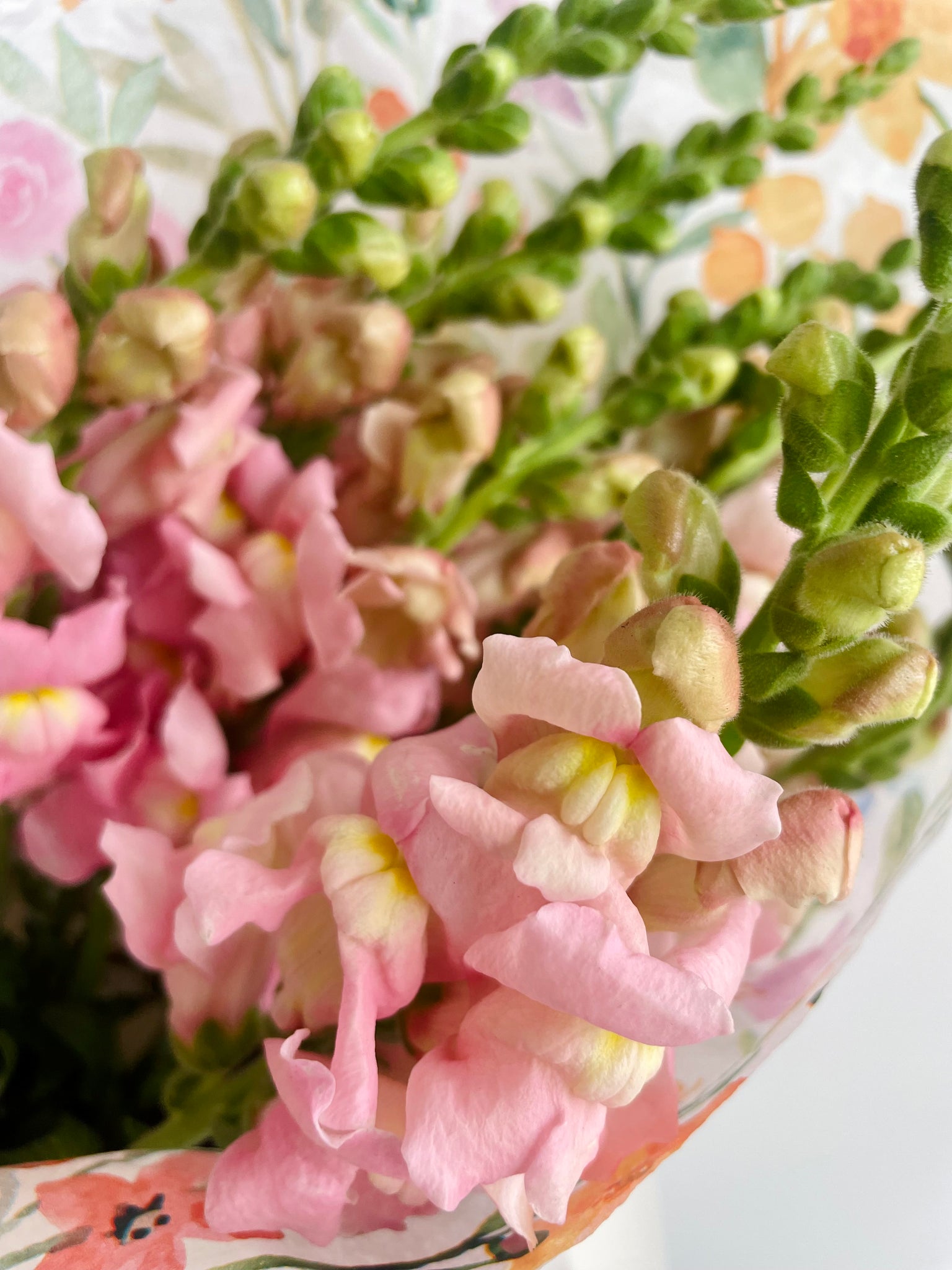 Snapdragons by the bunch