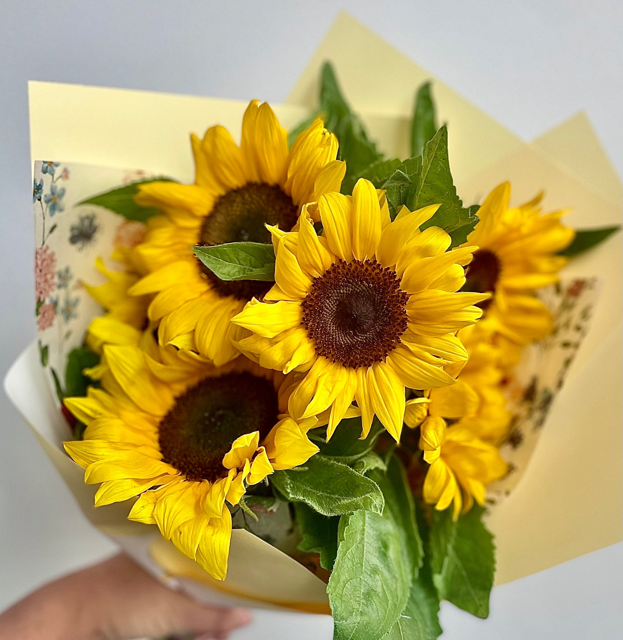This weeks special: 🌻 Sunflowers 🌻