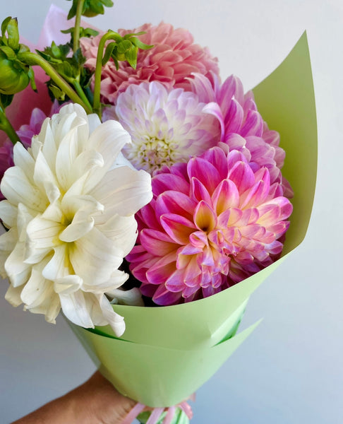 Dahlia bunch!! - (lucky dip colours)
