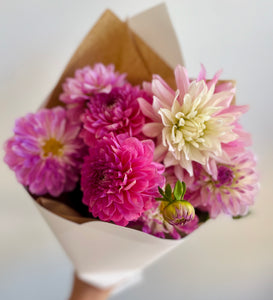 Dahlia bunch!! - (lucky dip colours)