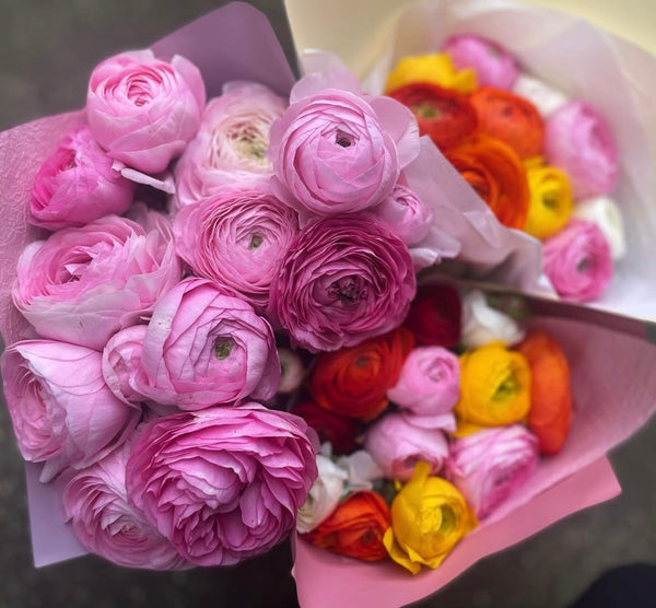 Special-  Buttercups (Ranunculus)