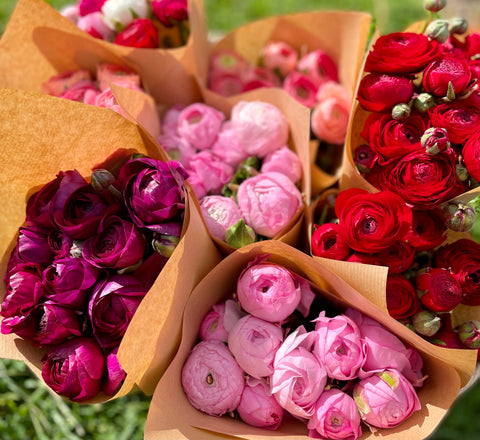 Special-  Buttercups (Ranunculus)
